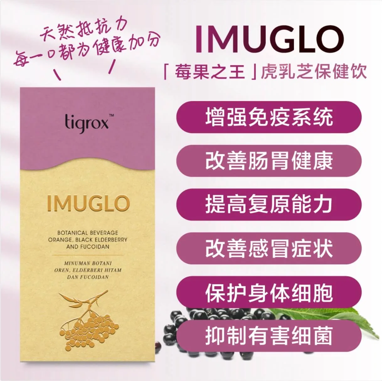 Imuglo免疫飲