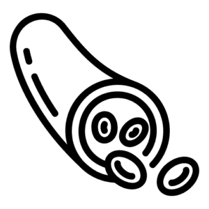 保護血管彈性