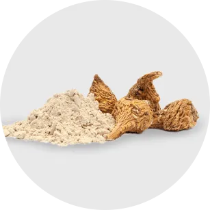 瑪卡 Maca