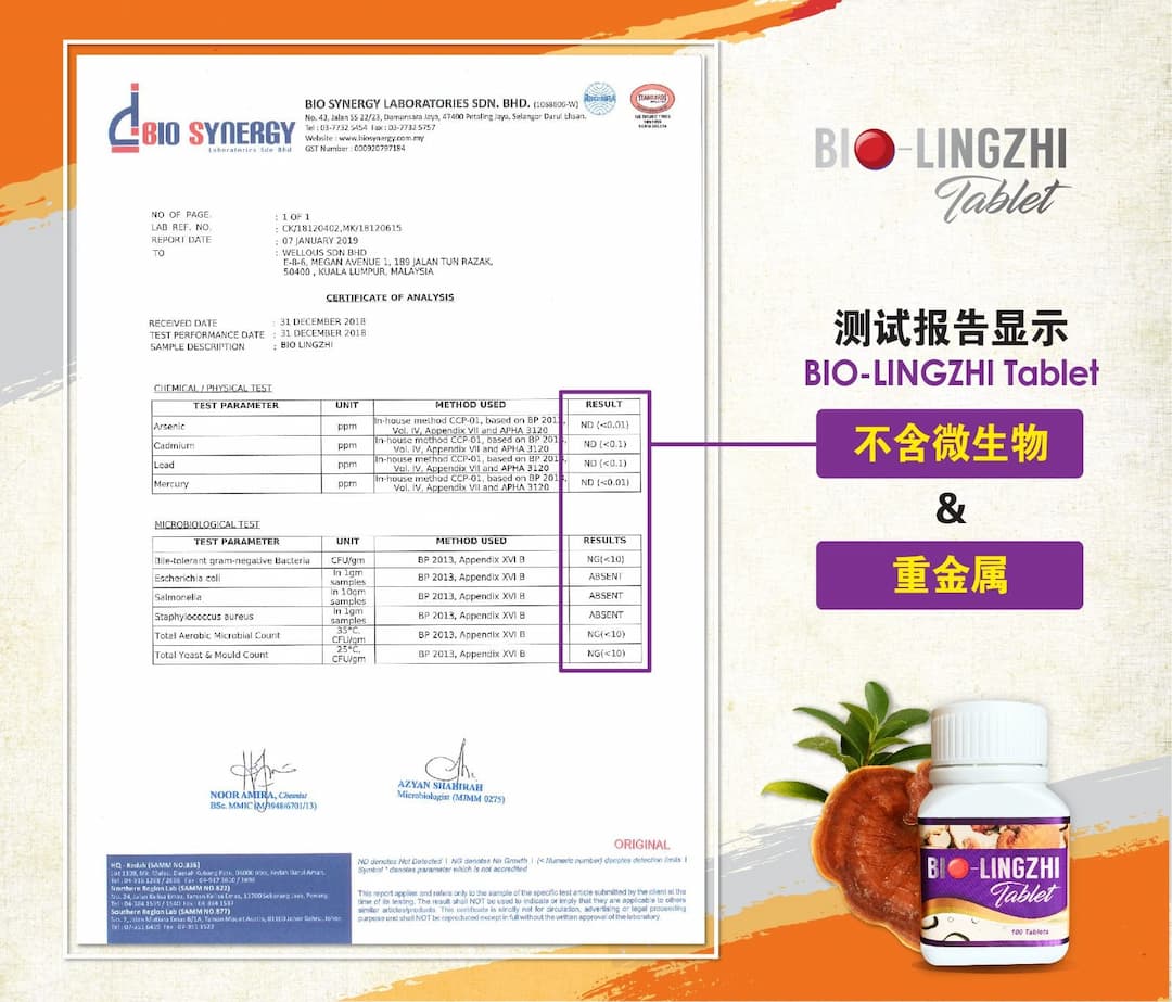 Bio靈芝王不含重金属跟微生物