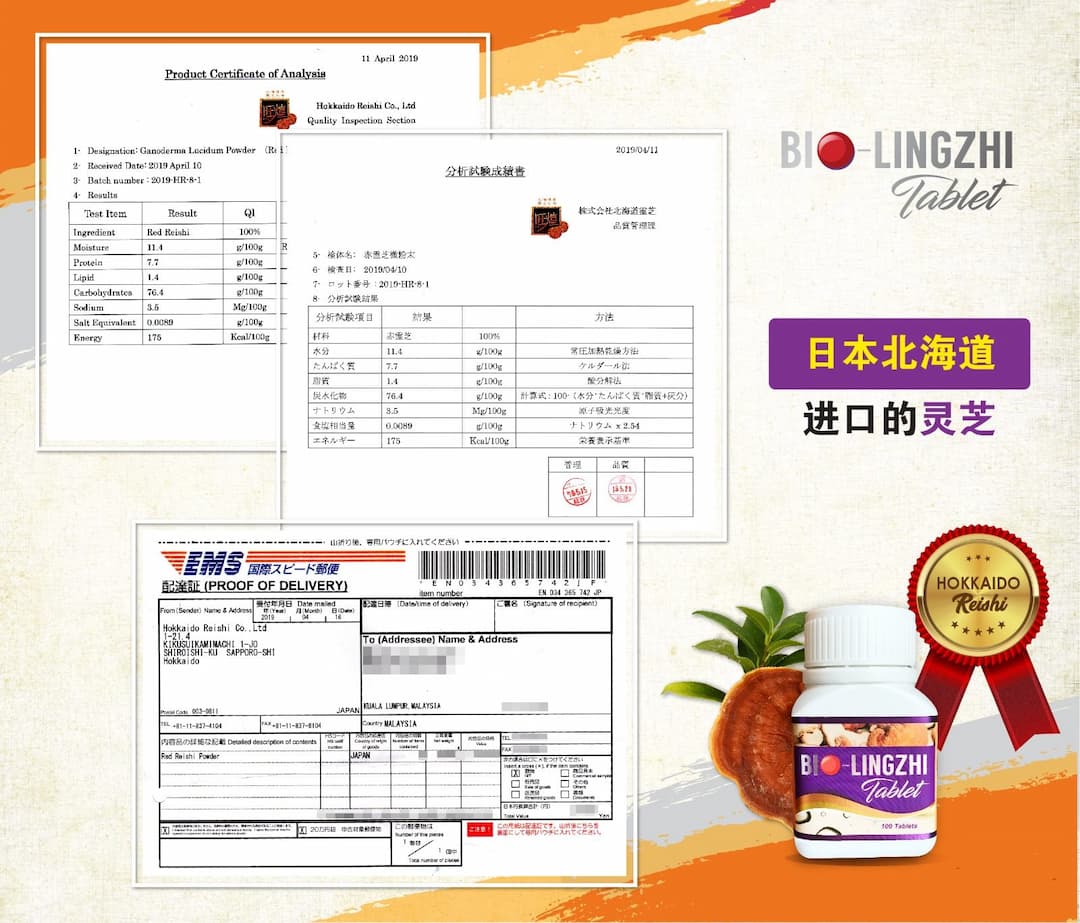 Bio靈芝王來自日本北海道进口