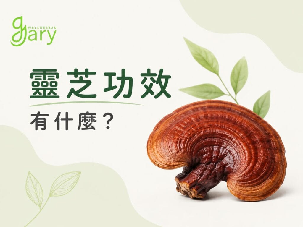靈芝的功效