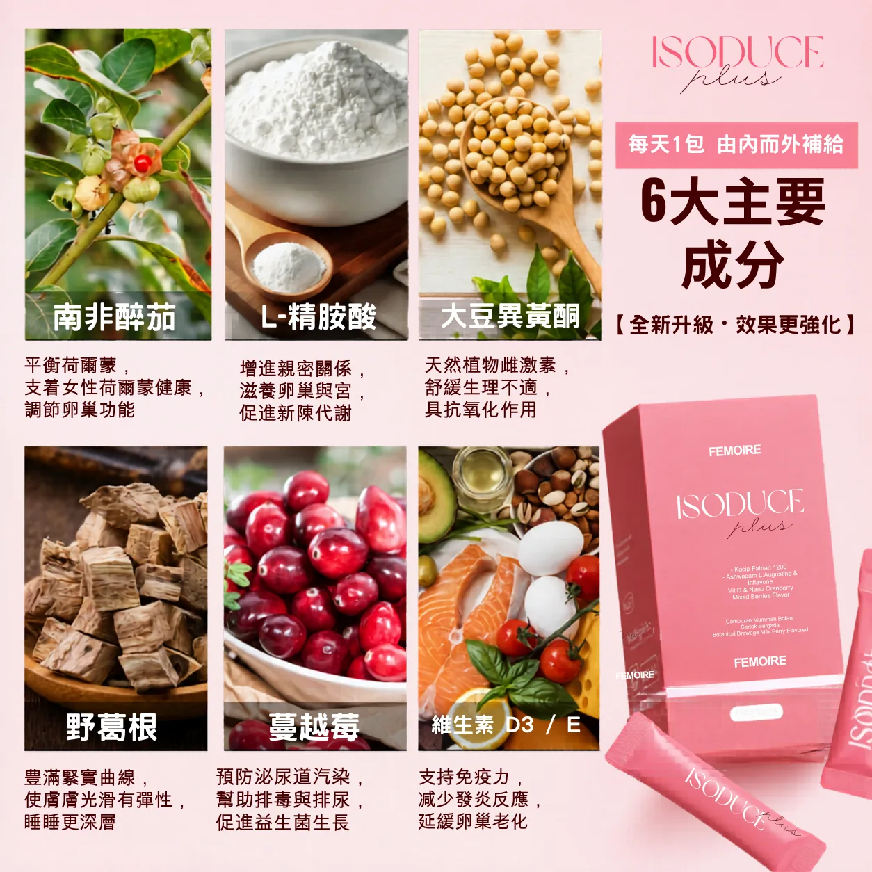 ISOduce護宮花茶 六大主要成分