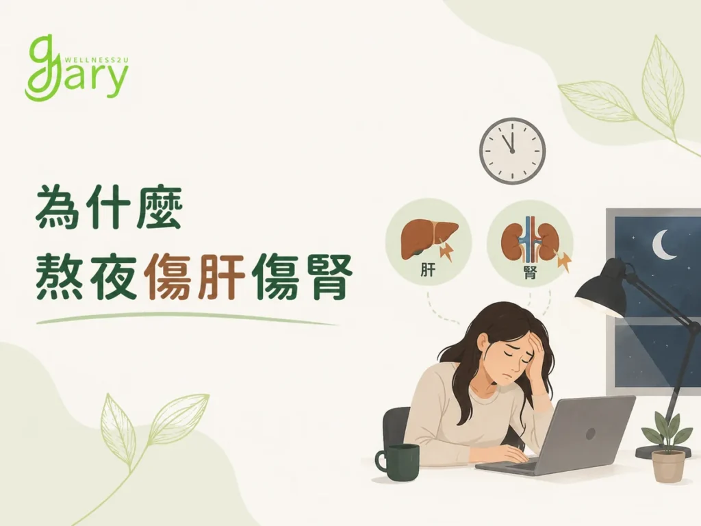 為什麼熬夜傷肝傷腎示意圖：女性深夜使用電腦，肝臟與腎臟出現損傷
