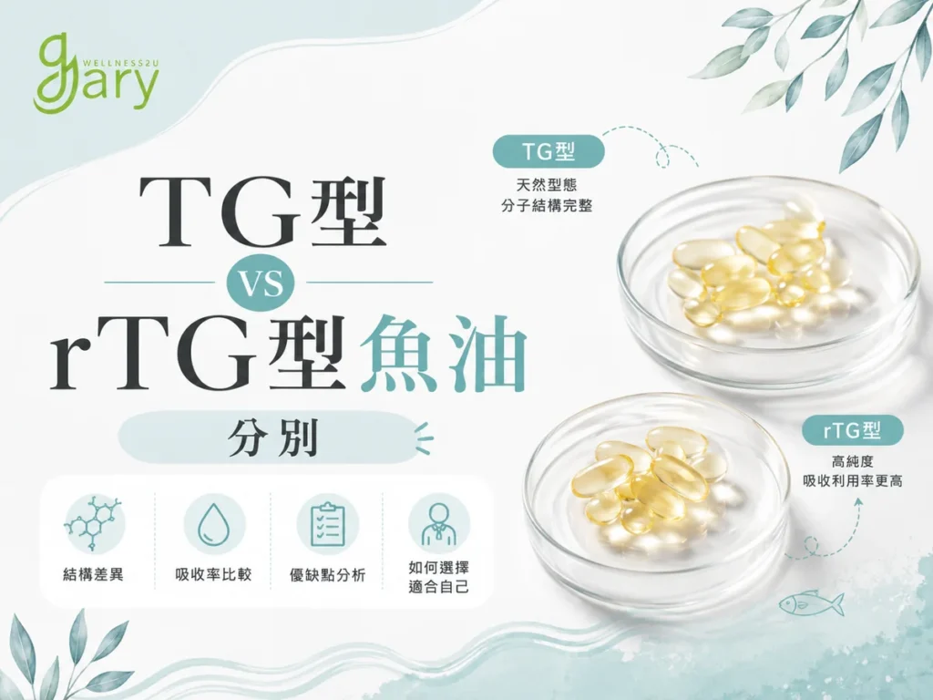 TG型與rTG型魚油分別比較示意圖：天然TG型分子結構與高濃度rTG型魚膠囊