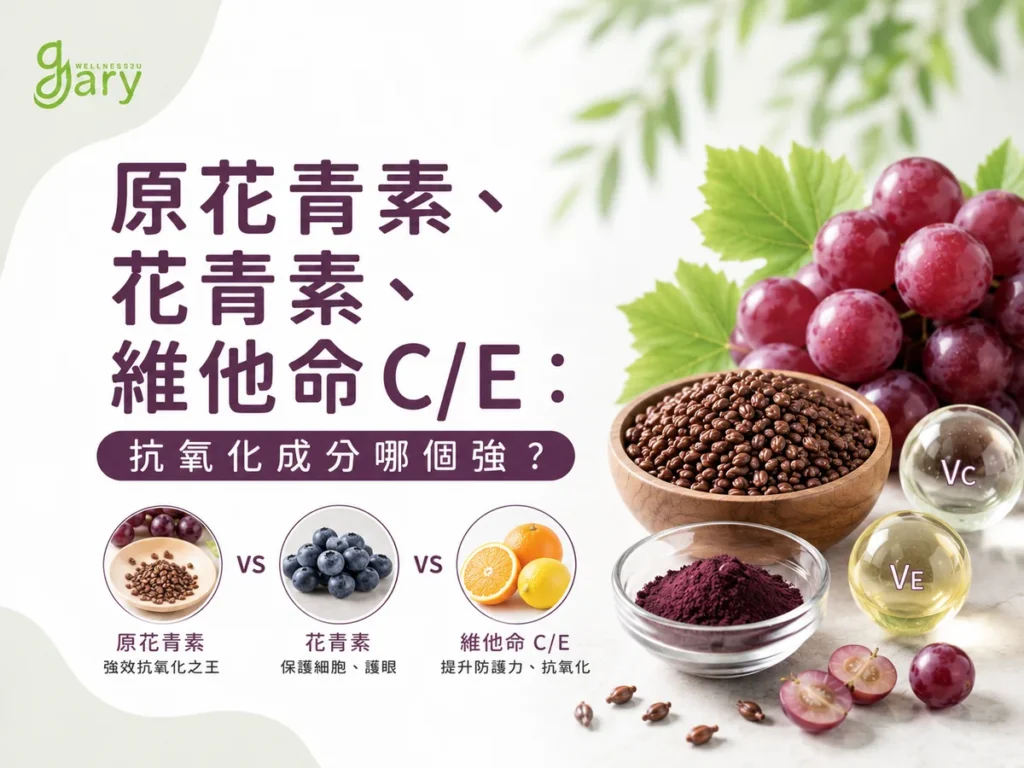 原花青素、花青素、維他命C/E抗氧化成分比較示意圖：葡萄籽、藍莓、柑橘與維他命C、E軟膠囊