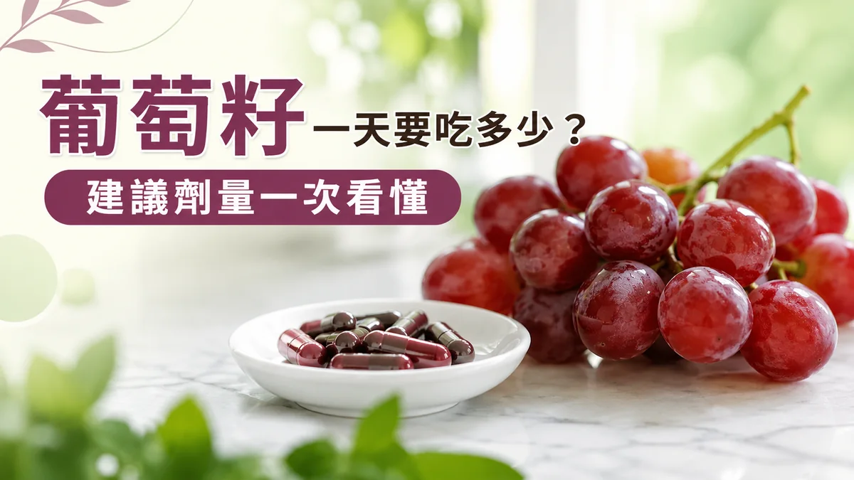 葡萄籽一天要吃多少：白色小碟盛裝葡萄籽膠囊與新鮮紅葡萄，說明每日建議劑量