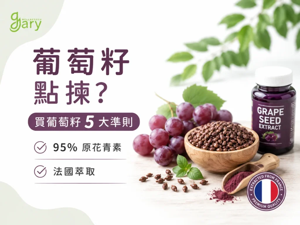 葡萄籽點揀?香港買葡萄籽5大準則示意圖:95%原花青素、法國萃取葡萄籽保健品與新鮮葡萄
