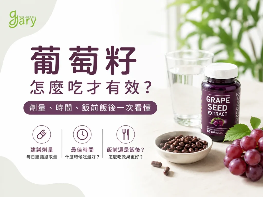 葡萄籽怎麼吃才有效示意圖：葡萄籽膠囊、新鮮葡萄與一杯水，標示建議劑量、最佳時間、飯前飯後