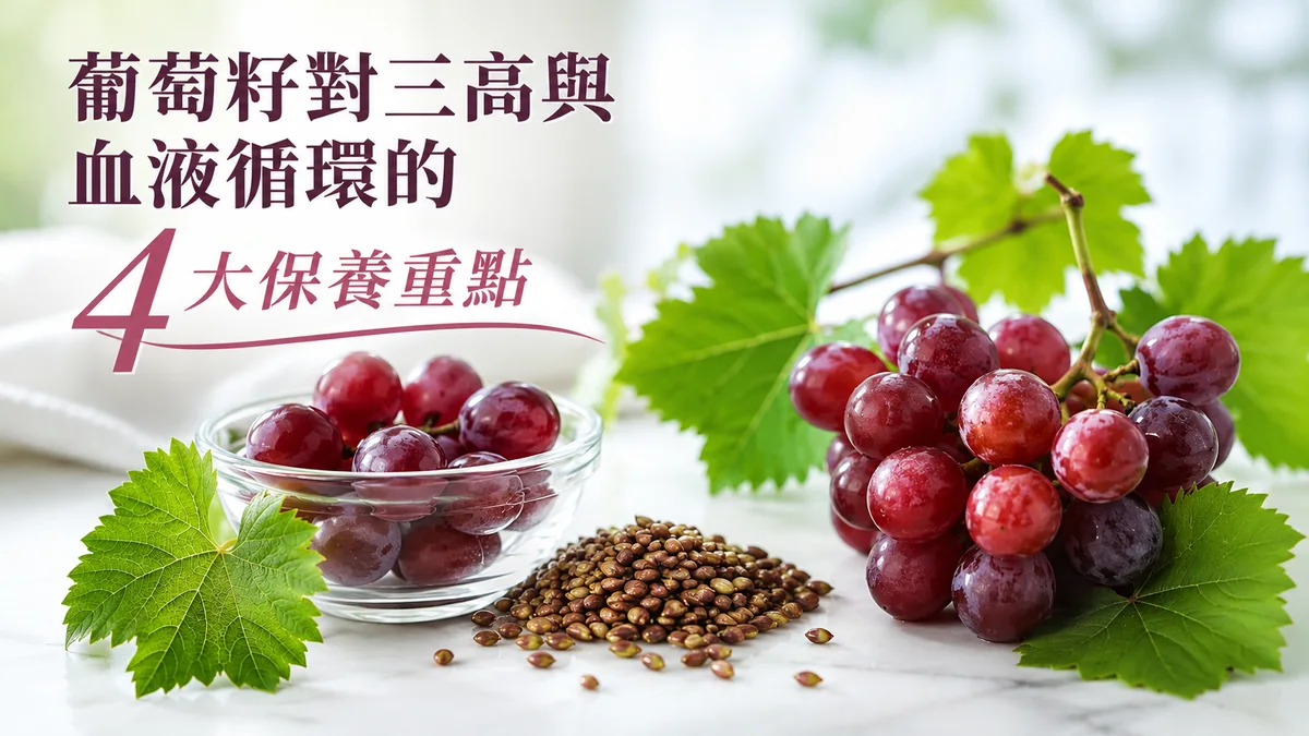 葡萄籽三高保養示意圖：葡萄籽與新鮮紅葡萄、葡萄葉，象徵對血壓、血脂、血糖與血液循環的保養