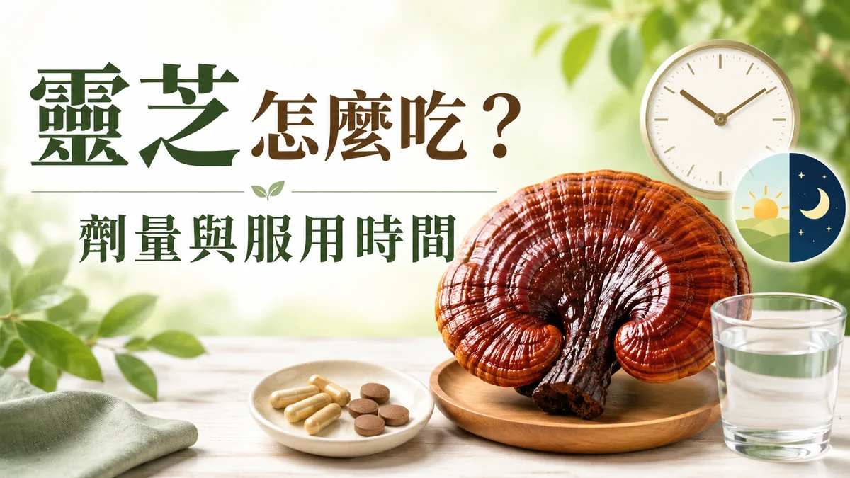 靈芝怎麼吃：赤靈芝、膠囊與水，早晚服用