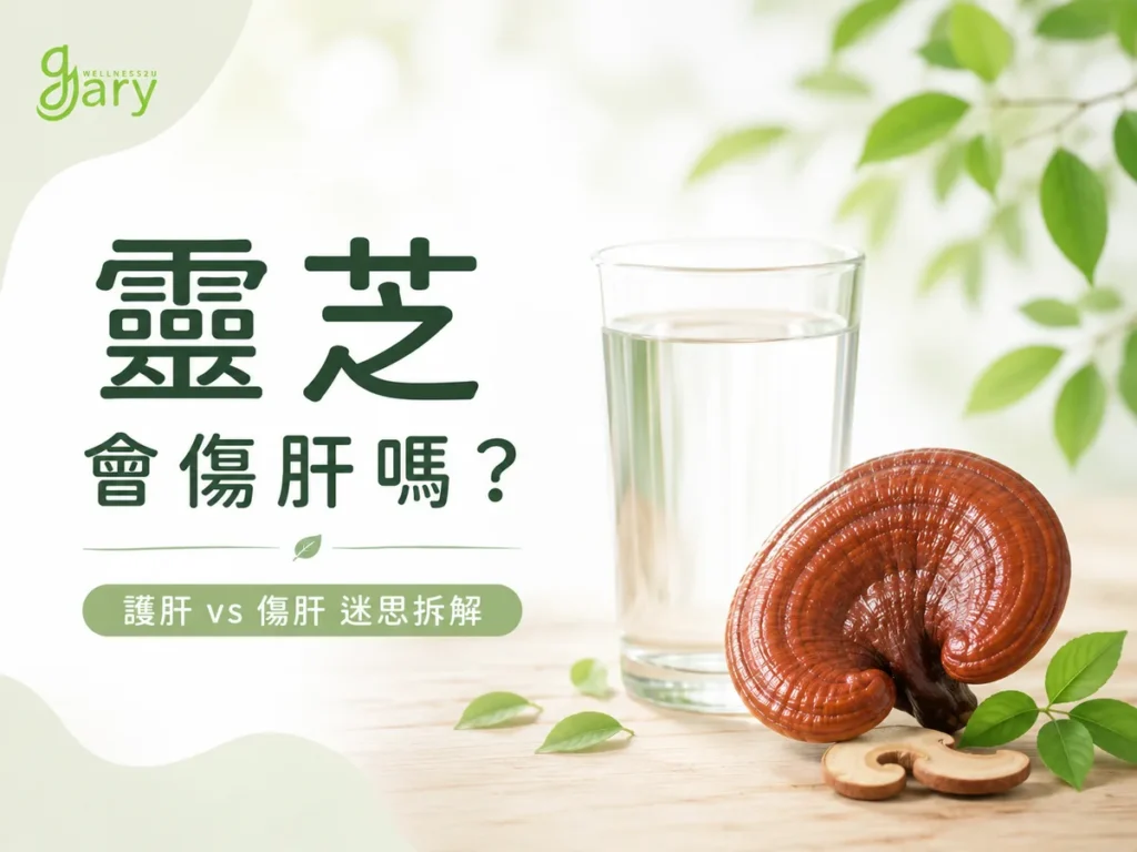 靈芝會傷肝嗎示意圖：赤靈芝與一杯清水