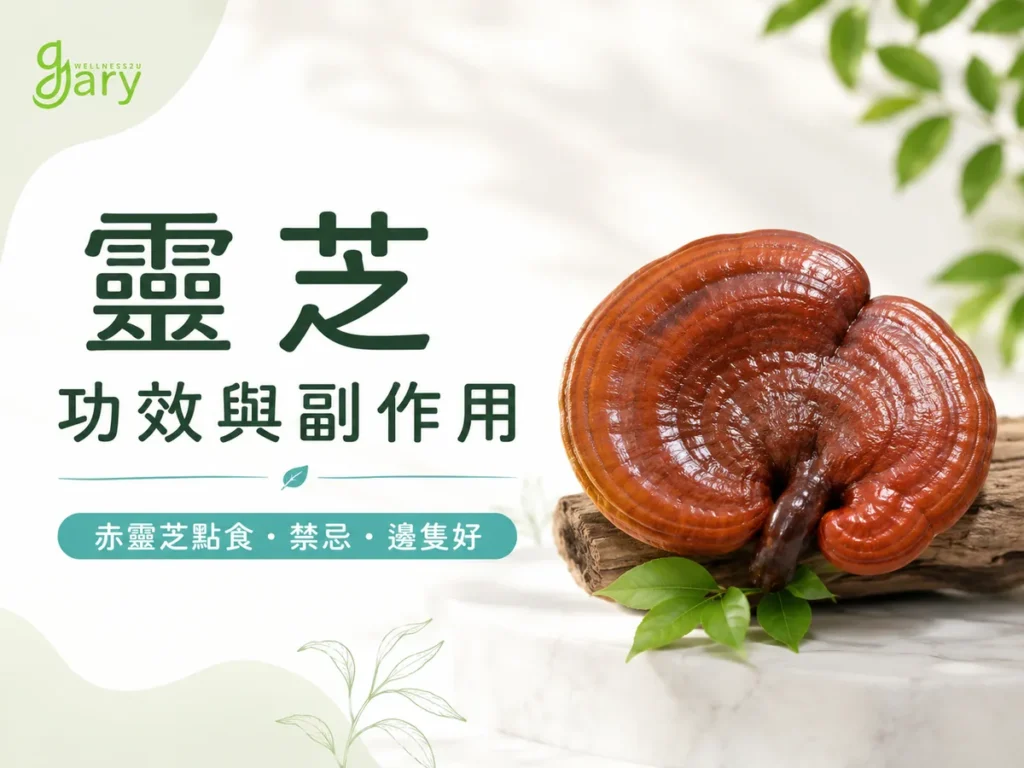 靈芝功效與副作用全攻略示意圖：赤靈芝與綠葉