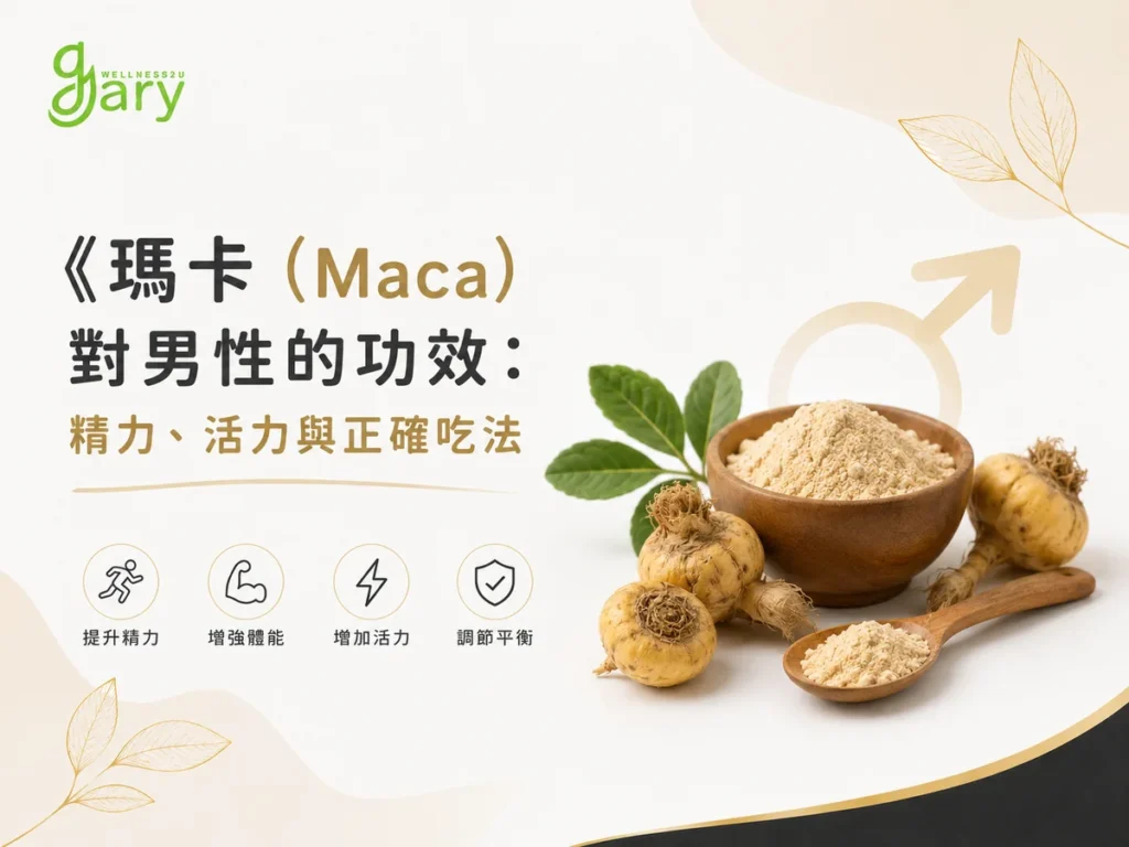 瑪卡(Maca)對男性的功效示意圖:木碗中的瑪卡粉與新鮮瑪卡根