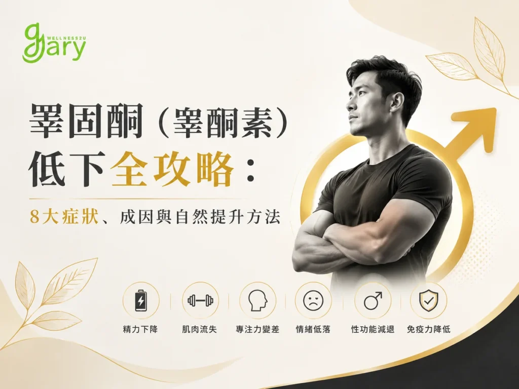 睪固酮低下全攻略示意圖：一名健壯男性與男性符號，列出精力下降、肌肉流失、專注力變差、情緒低落、性功能減退、免疫力降低等睪固酮偏低症狀