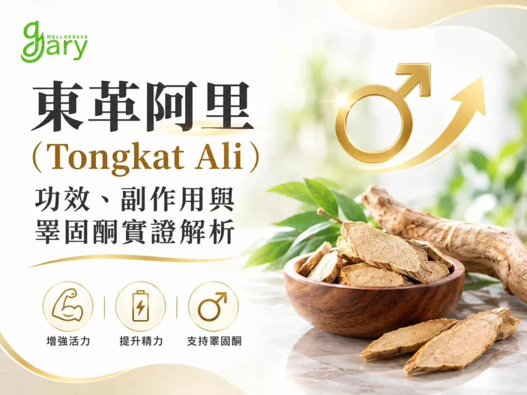 東革阿里(Tongkat Ali)功效示意圖:木碗盛裝東革阿里根切片,象徵提升睪固酮與男性活力