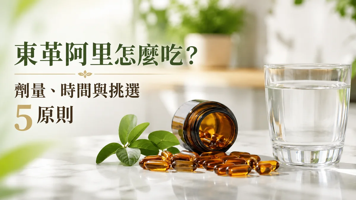 東革阿里怎麼吃:琥珀色膠囊、保健瓶與清水示意劑量、時間與挑選原則