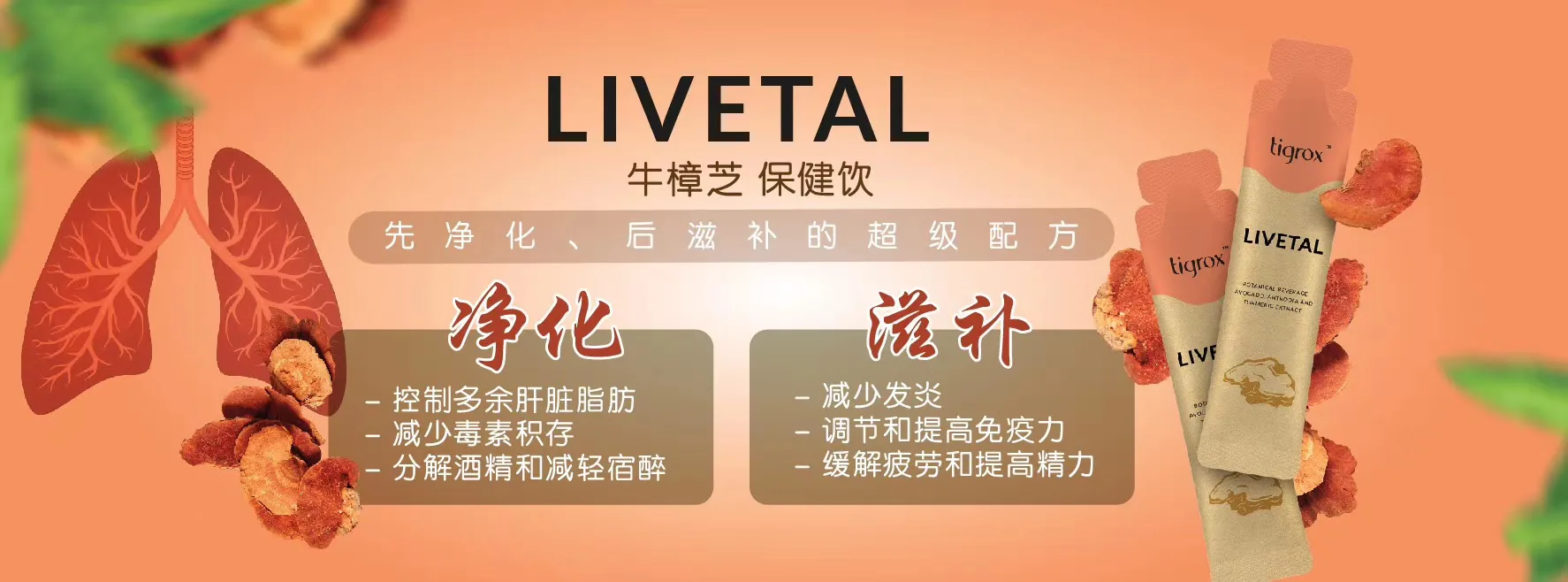 Livetal 牛樟芝保健飲 先淨化後滋補的超級配方：控制多餘肝臟脂肪、減少毒素積存、分解酒精減輕宿醉、減少發炎、調節提高免疫力、緩解疲勞提高精力